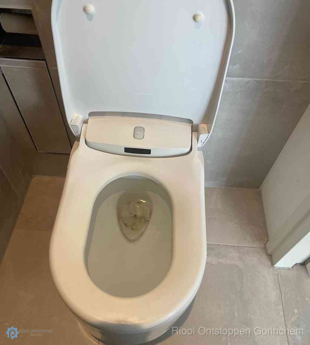 Toilet Ontstoppen Gorinchem Toilet Ontstoppen Gorinchem